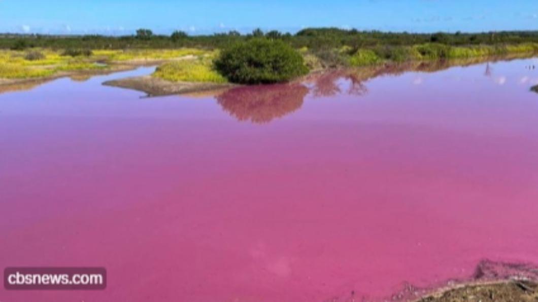 夏威夷茂宜島的湖泊呈現粉色怪異現象。（圖／翻攝自@cbsnews）