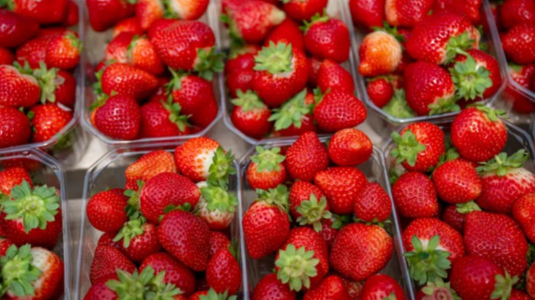 草莓富含名為「天竺葵素」（pelargonidin）的花青素，能降低罹患失智症、憂鬱症風險。（圖／翻攝自《紐約郵報》）
