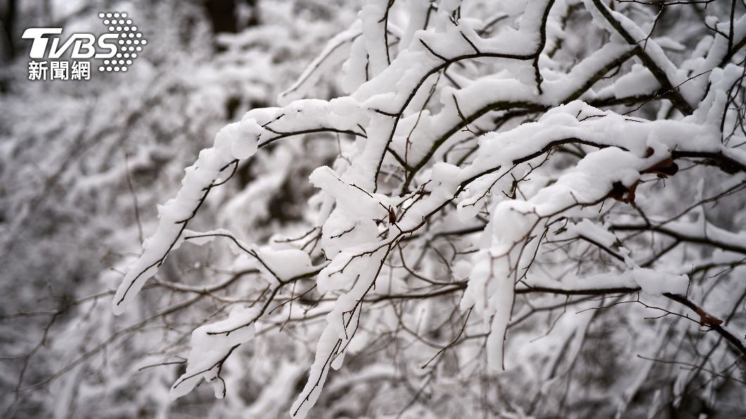 二十四節氣之一的「小雪」在11月22日即將來臨。（示意圖／Shutterstock達志影像）