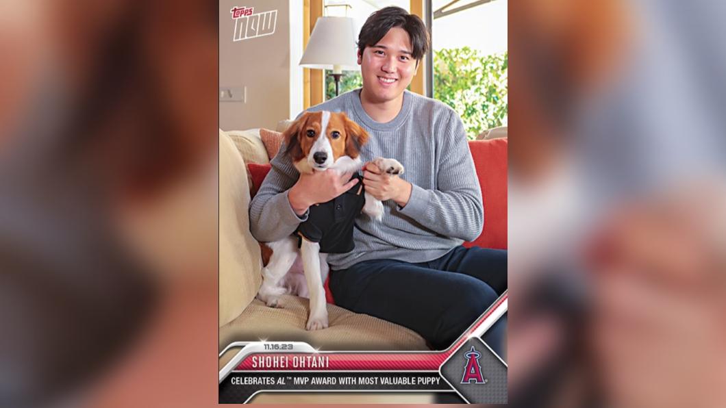 大谷和愛犬一起登上MVP紀念卡。（圖／翻攝自X@MLB）