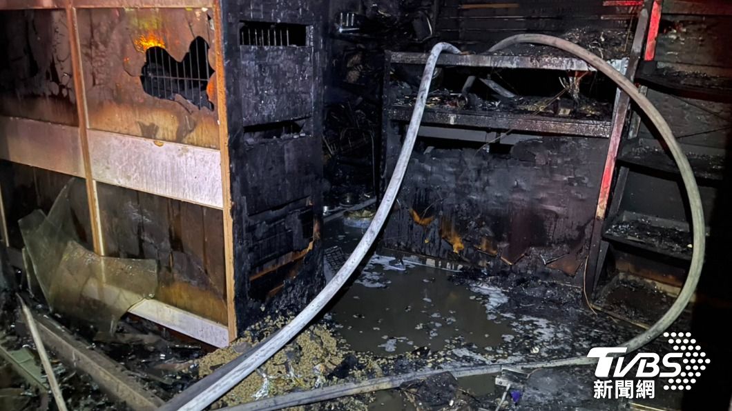 台南市一間寵物店疑似電線走火，活生生燒死1樓共10多隻毛小孩。（圖／TVBS）