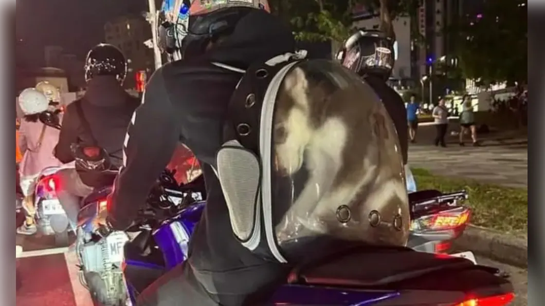 Kaohsiung man carrying husky in capsule backpack faces fine (Courtesy of Dcard) Kaohsiung man carrying husky in capsule backpack faces fine
