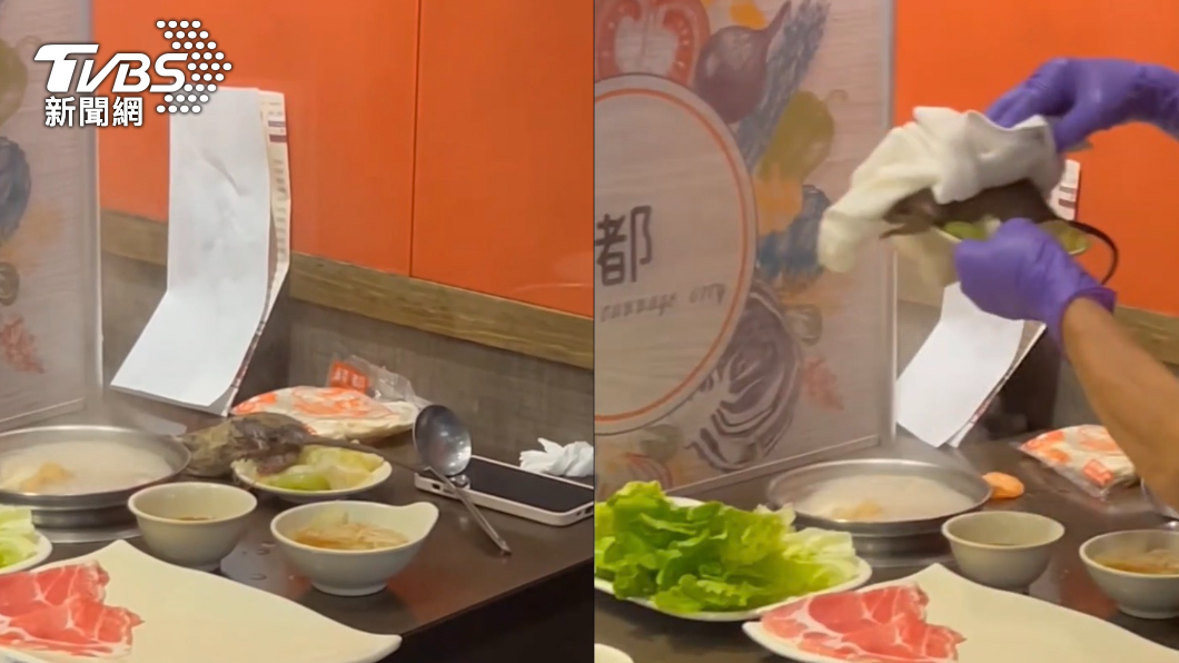 Diners dash as rat disrupts meal at hotpot restaurant (TVBS News) Diners dash as rat disrupts meal at hotpot restaurant