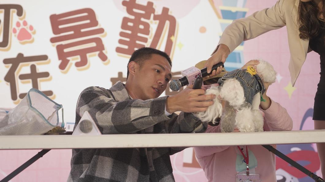 吳嘉育耐心示範寵物美容。(圖/TVBS)
