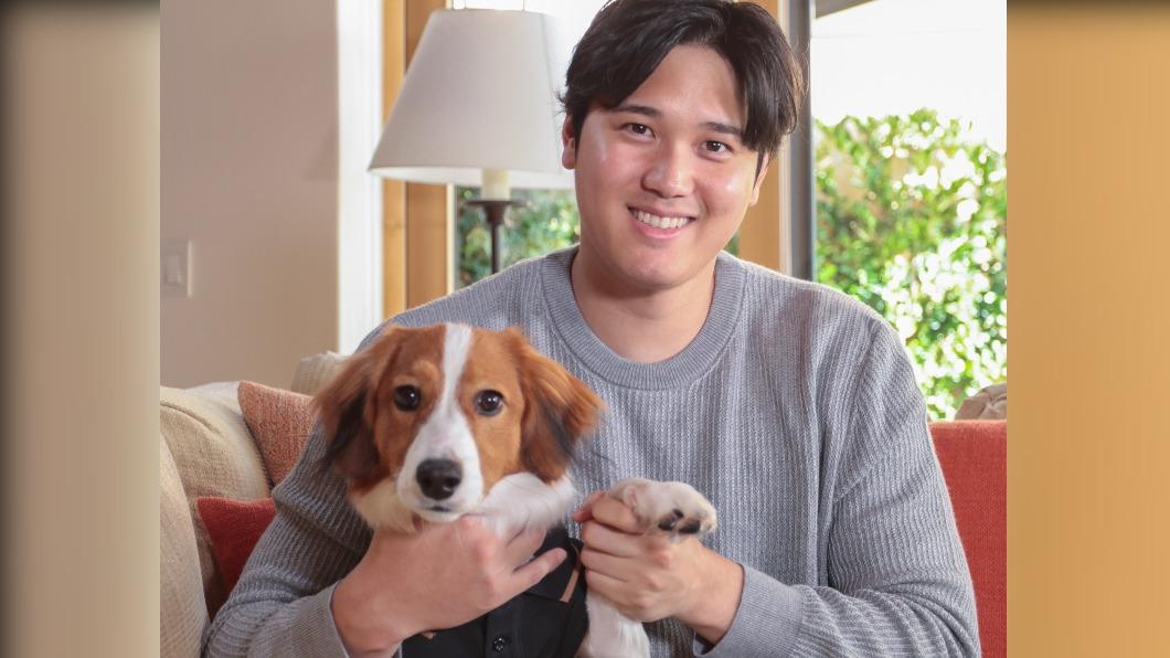 大谷在記者會上公布愛犬名叫「Decoy」。（圖／翻攝自大谷IG）