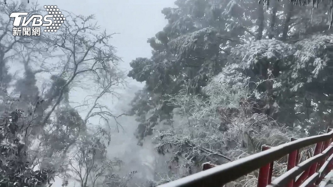 太平山於本月22日有可能迎來今年第一場初雪。（圖／TVBS）