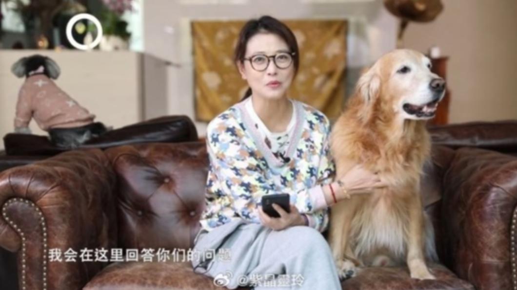 周海媚為愛犬周六六在抖音創辦帳號，經常曬出兩人私下互動。（圖／翻攝自紫晶靈玲微博）
