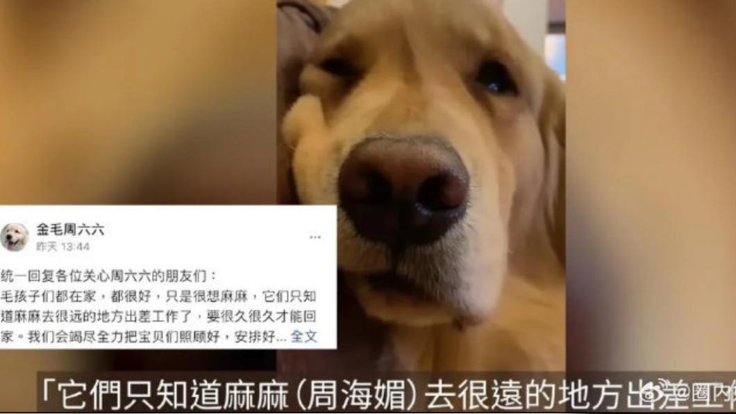 保姆收養了周六六，但她推測周六六應該知道麻麻周海媚已離世，整天黯然神傷。（圖／翻攝自圈內妹妹微博）