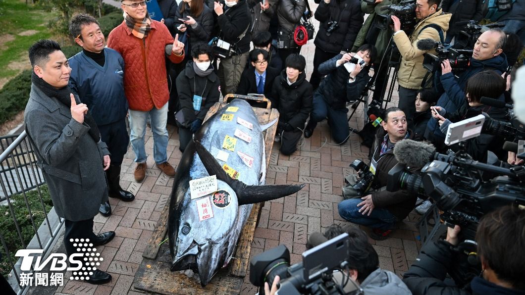 東京豐洲魚市場元旦競拍，200公斤鮪魚以1.14億日圓售出。（圖／達志影像美聯社）