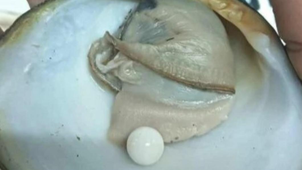 泰國有名婦女吃海鮮時意外吃到1顆6.8克拉的珍珠。（圖／翻攝自Daily News）
