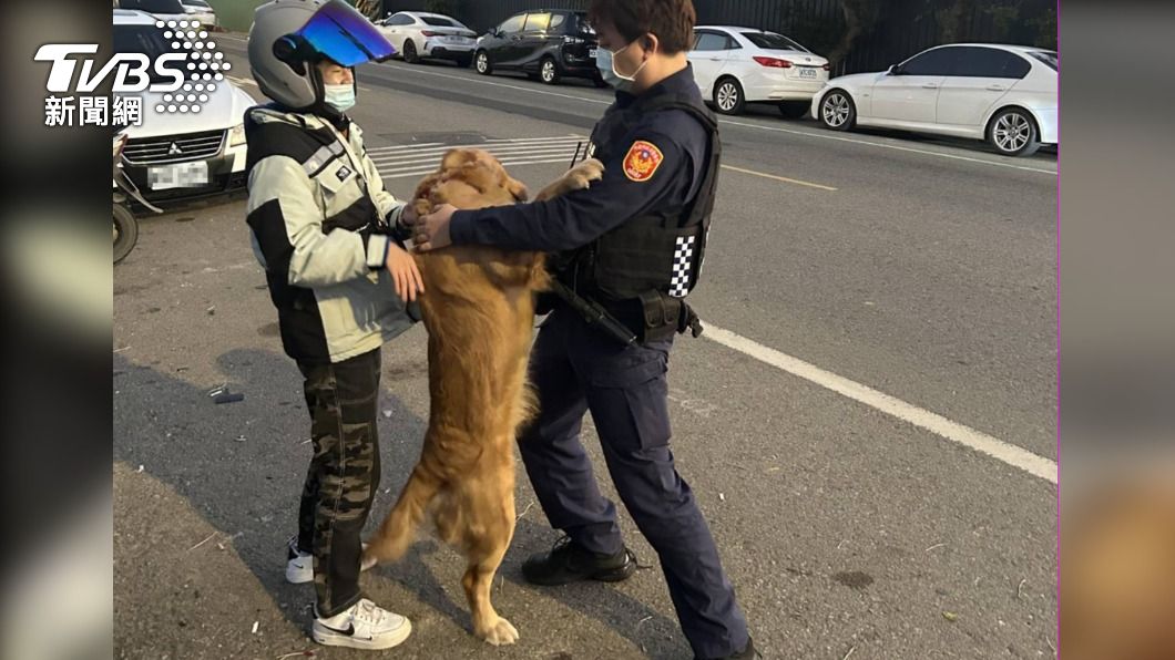 狗狗見到警方熱情地抱住。(圖/TVBS)