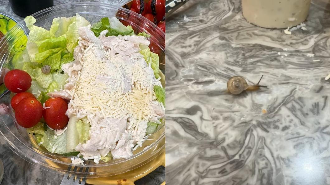 會員發現好市多生菜沙拉裡面有活的蝸牛。（圖／翻攝自臉書「爆料公社二社」）