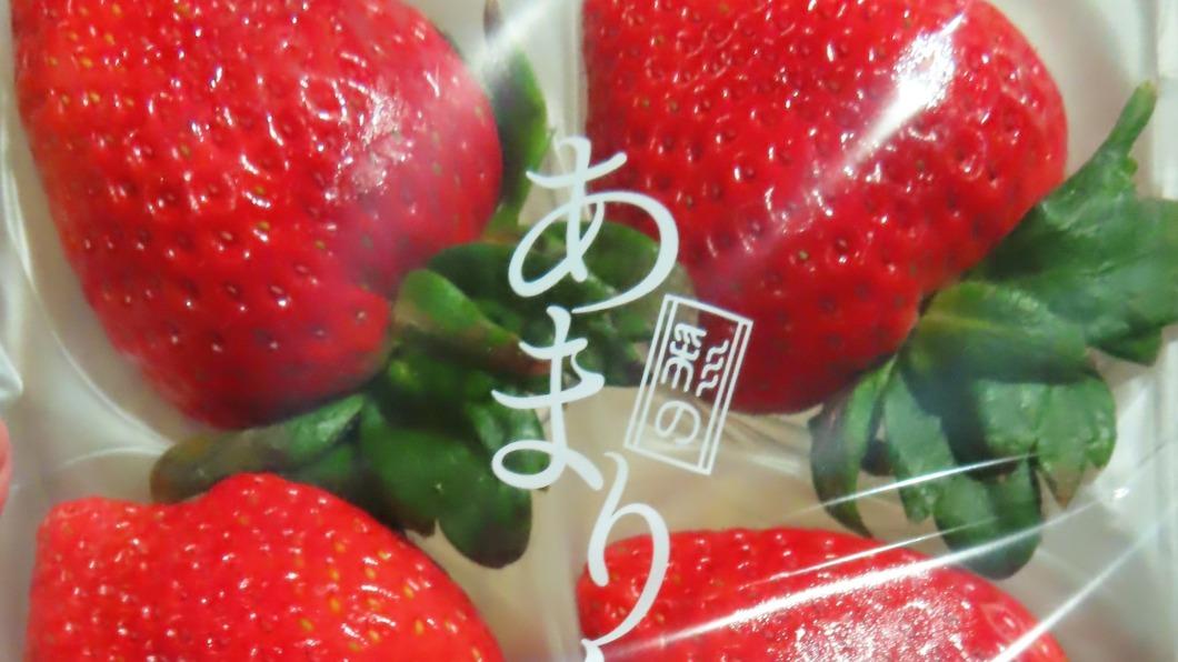 日本草莓半年來共有2.3公噸被檢出農藥殘留退運。（圖／食藥署提供）