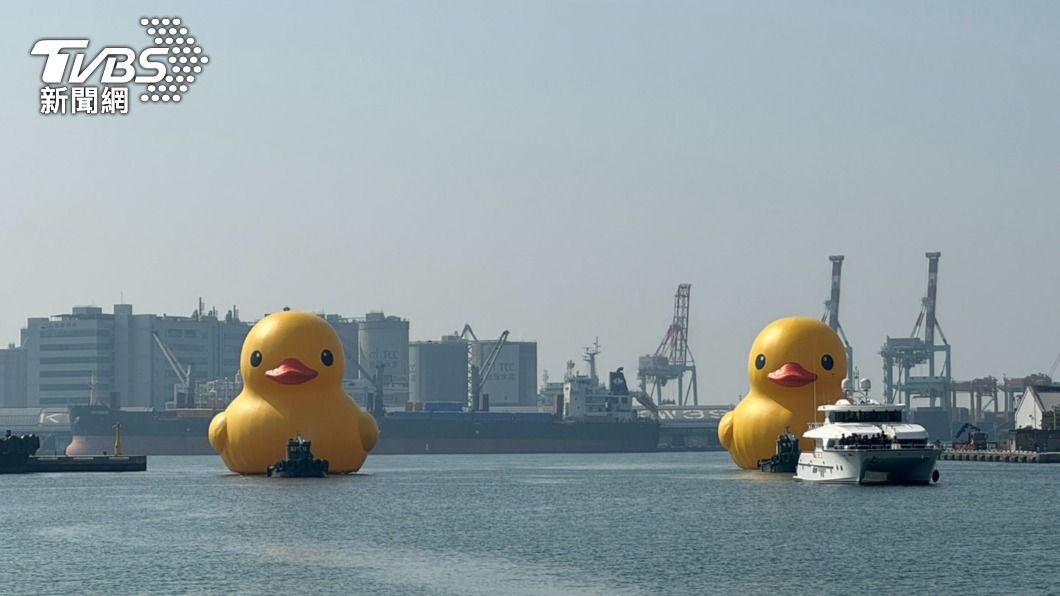 兩隻卡哇伊的黃色小鴨緩緩游進愛河灣。（圖／林雅婷攝）