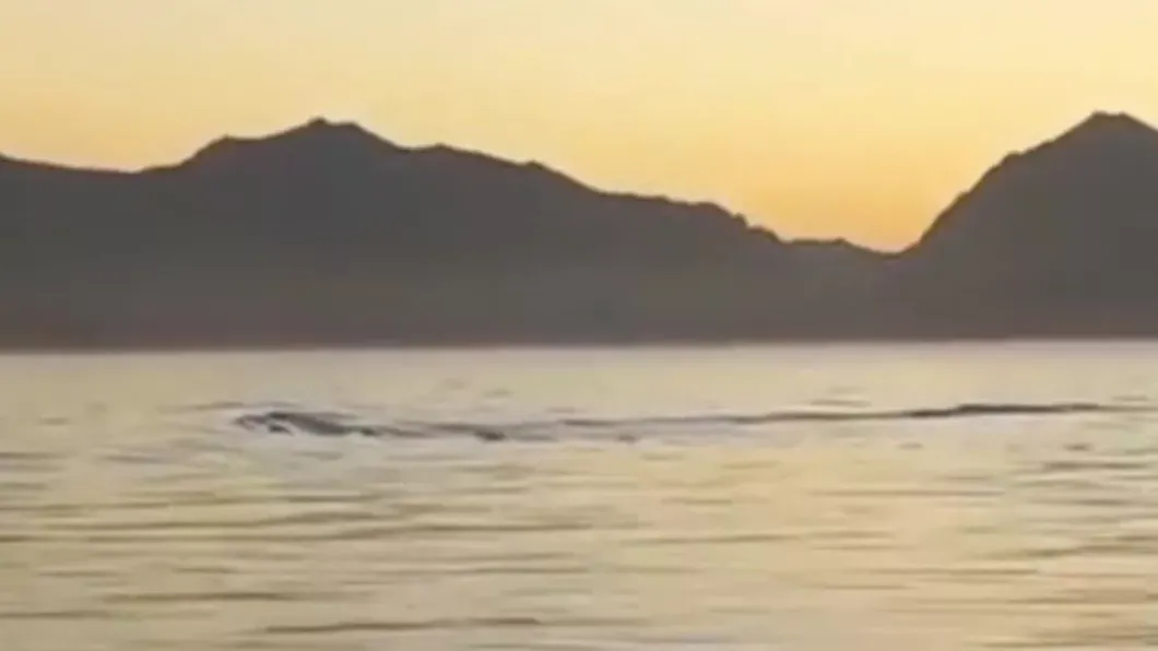 有遊客聲稱自己在阿根廷的納韋爾瓦皮湖拍到了湖中水怪。（圖／翻攝自鏡報）