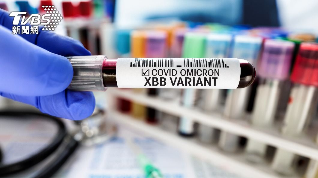 本周新冠XBB疫苗接種人次達9.6萬人。（示意圖／shutterstock達志影像）