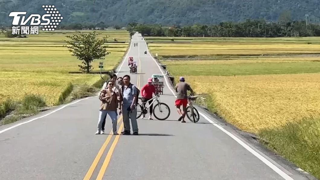 伯朗大道的美麗街景每年都吸引許多觀光客前往朝聖。（圖／TVBS資料畫面）