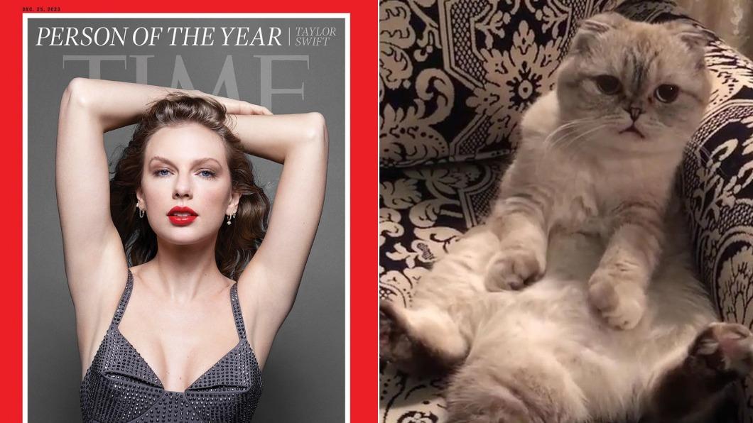 流行樂天后泰勒絲的愛貓班森（圖右）身價高達9700萬美元。（圖／翻攝自Instagram@taylorswift、@taylorscats_）