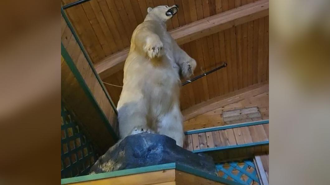 加拿大亞伯達省（Alberta）一處度假村內的北極熊標本遭竊。（圖／翻攝自《BBC》）