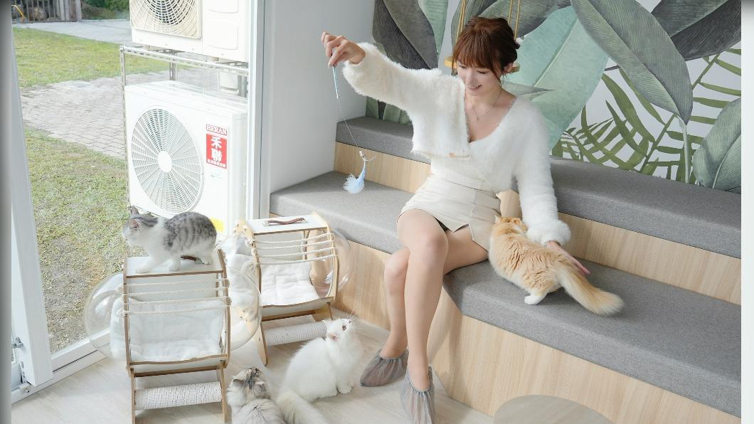 「擼らら Sweets森友會」一泊二食住房專案依房型人數提供擼らら Sweets甜點。（圖／業者提供）