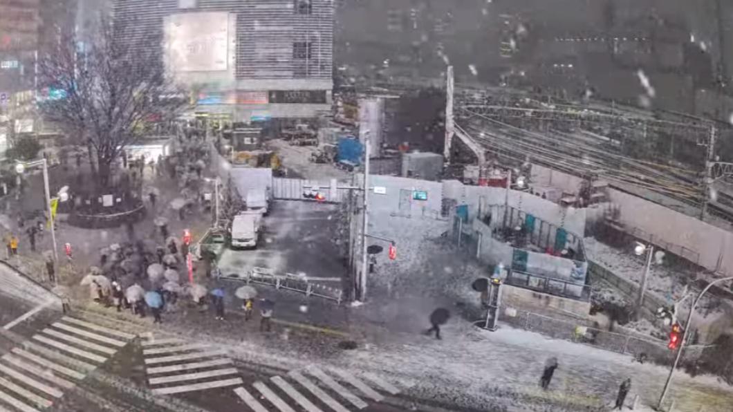 東京新宿街頭出現積雪。（圖／翻攝自新宿猫の目線（新宿駅東口） ライブカメラYouTube頻道）