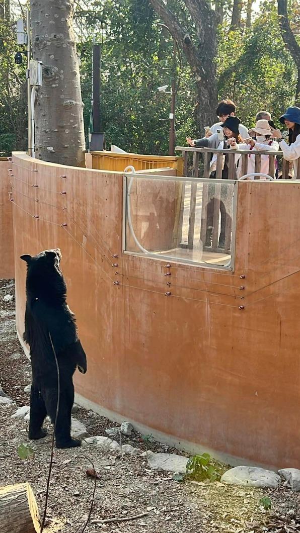 目睹遊客開心驚呼「很幸運」。（圖／壽山動物園提供）