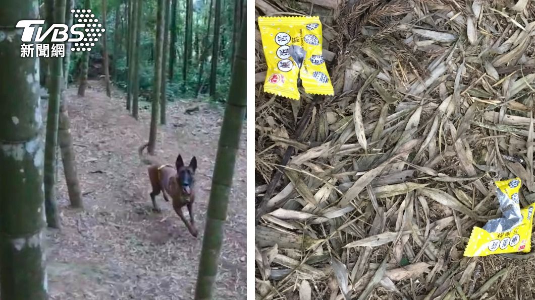 搜救犬找到阿嬤的餅乾塑膠袋。（圖/TVBS）