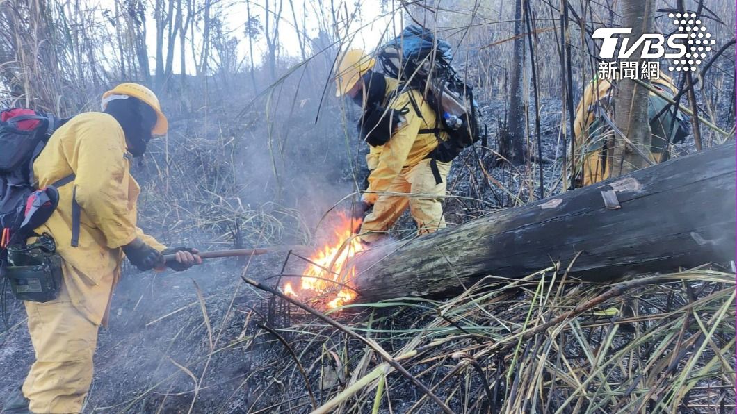 森林大火延燒中。（圖/TVBS）