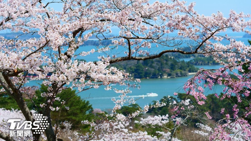 鄉民競相討論日本旅遊聖地哪些景點過譽，其中最多人點名松島，認為浪費時間。（示意圖／shutterstock達志影像） 