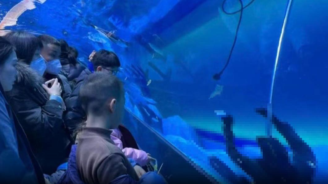 中國鄭州有間海生館驚傳潛水員溺斃的意外。（圖／翻攝自揚子晚報）