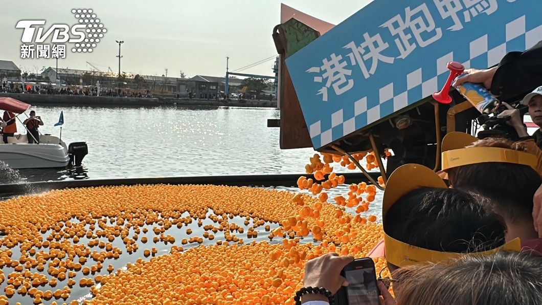 1.5萬隻小鴨投入大港橋水域。（圖／陳佳宜攝）