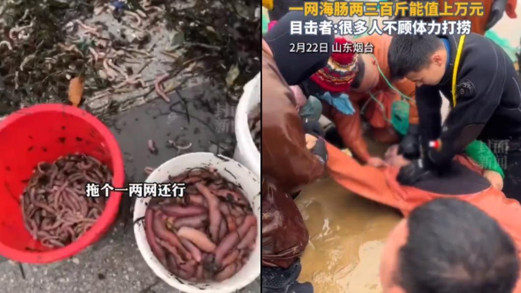 山東省煙台市民眾搶撈陰莖魚，傳多人遇溺。（圖／翻攝自 微博）