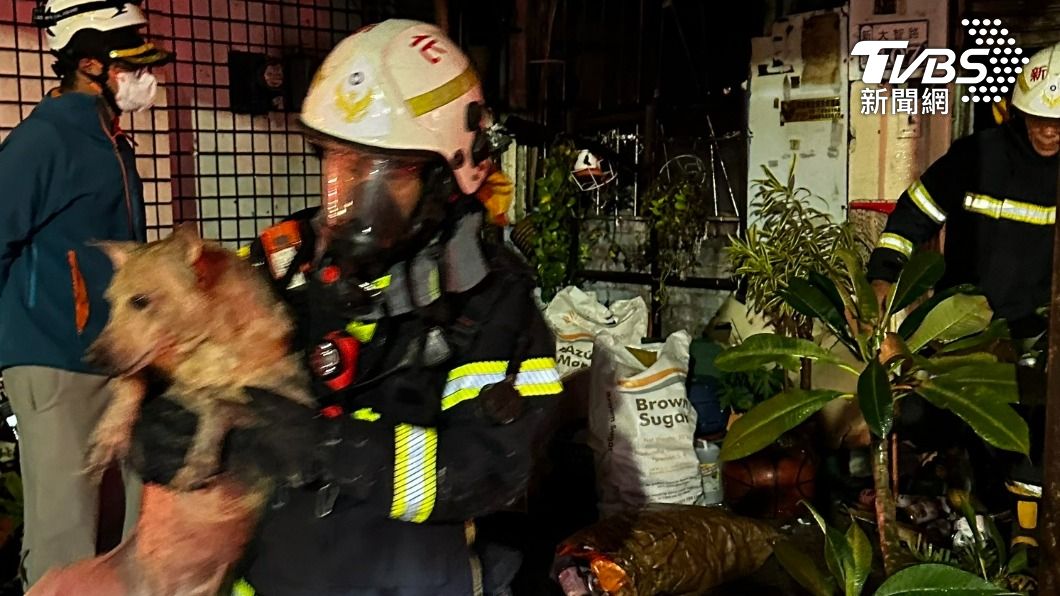 消防盡力救出4隻狗。（圖／TVBS）