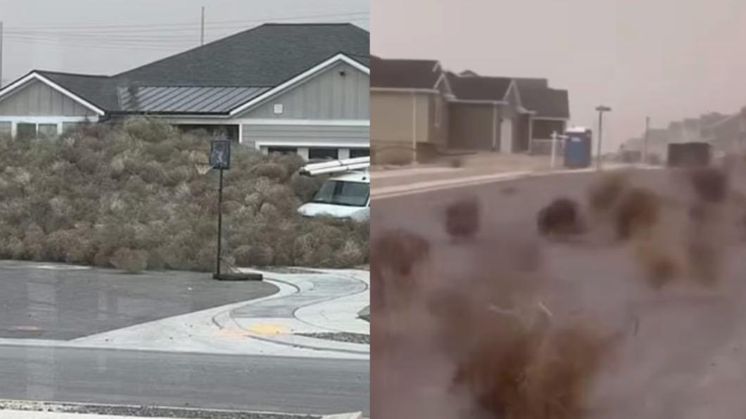 美國西部驚見「風滾草」（tumbleweeds）淹沒住宅、道路翻滾。（圖／翻攝自 X）