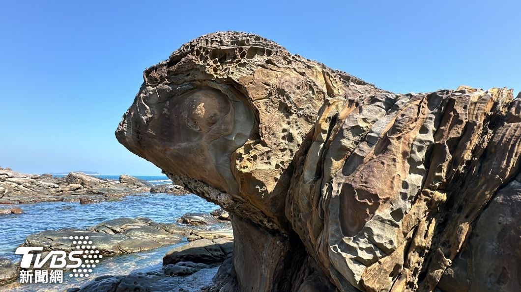 有民眾無意間在基隆外木山海岸，發現了一個像似「海龜」的岩石，引起網友讚嘆！（圖／ＴＶＢＳ）