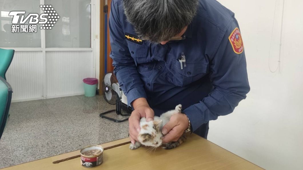 本身也是貓奴的員警自掏腰包將小貓送去醫院救治。（圖／TVBS）