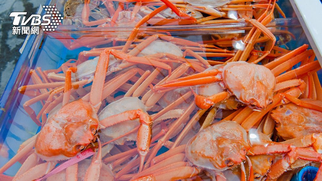 松葉蟹是高級海產，在日本價格高漲。（示意圖／Shutterstock達志影像）