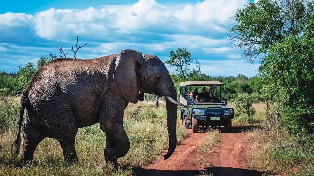 非洲史瓦帝尼是野生動物天堂，每年觀光客絡繹不絕，更是輸出動物大國。（圖／翻攝自史瓦帝尼觀光局臉書）