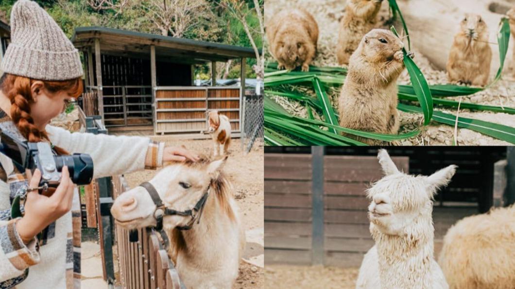 「南法親子莊園」有飼養超過20種動物的迷你動物園。（圖／胖貓咪的奇幻旅程）
