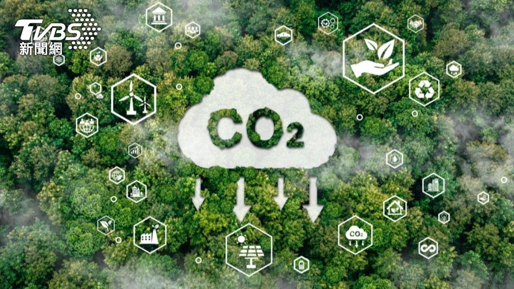 環境部將於12日召開森林經營碳匯方法學首次專案小組會議。（示意圖／shutterstock達志影像）
