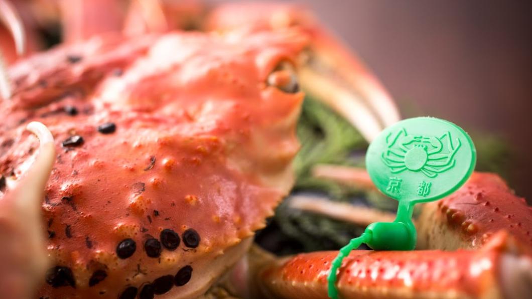 日本品牌螃蟹「間人蟹」被稱為夢幻螃蟹。（圖／翻攝自www.hoshino-oto.jp）