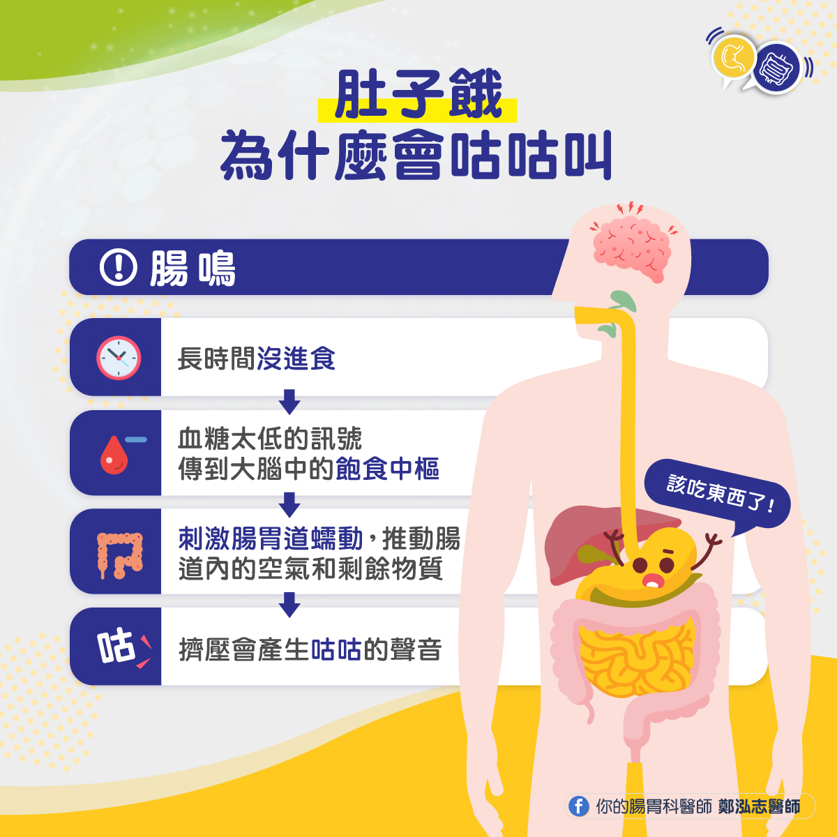 人體長時間未進食血糖太低促進腸胃蠕動,會出現腸鳴。(圖/翻攝自鄭泓志臉書)