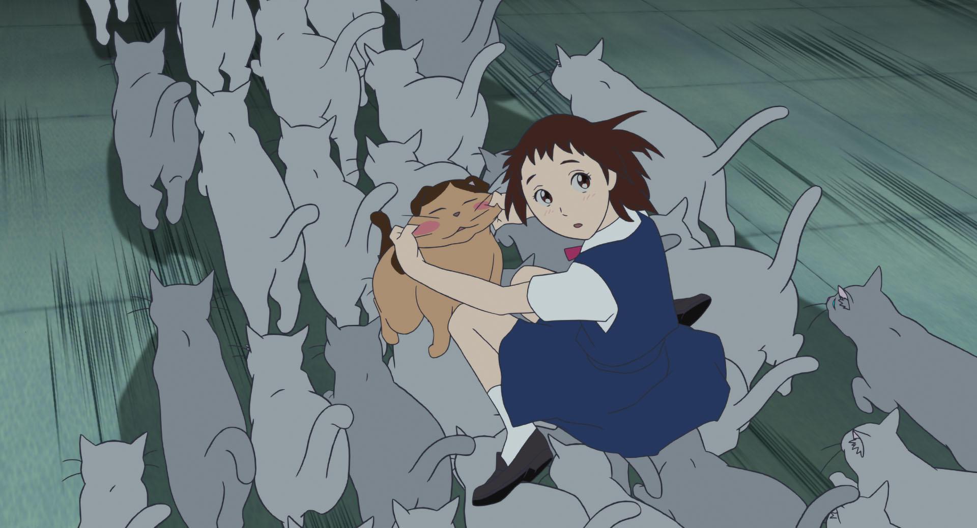 成群結隊的貓咪們迎接小春前往貓王國。(圖/甲上提供)