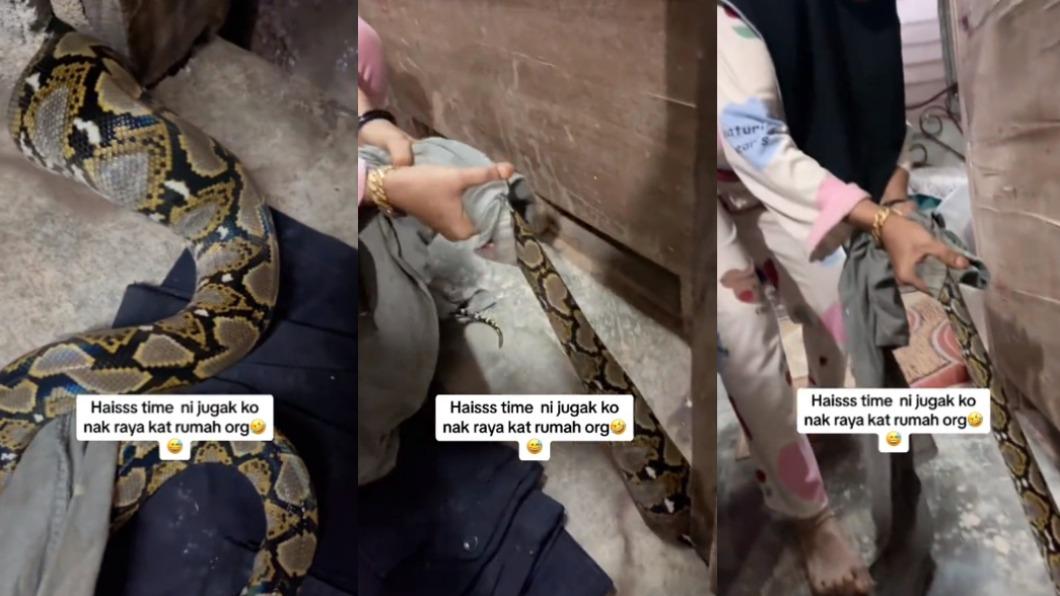 馬來西亞一名女子不忍看見蟒蛇受困，竟徒手將牠救出。（圖／翻攝自TikTok）