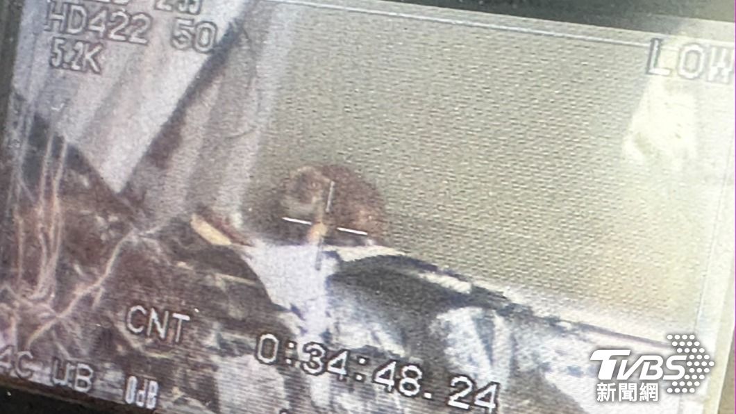 是否為康老師的愛貓,目前仍在確認中。(圖/TVBS)