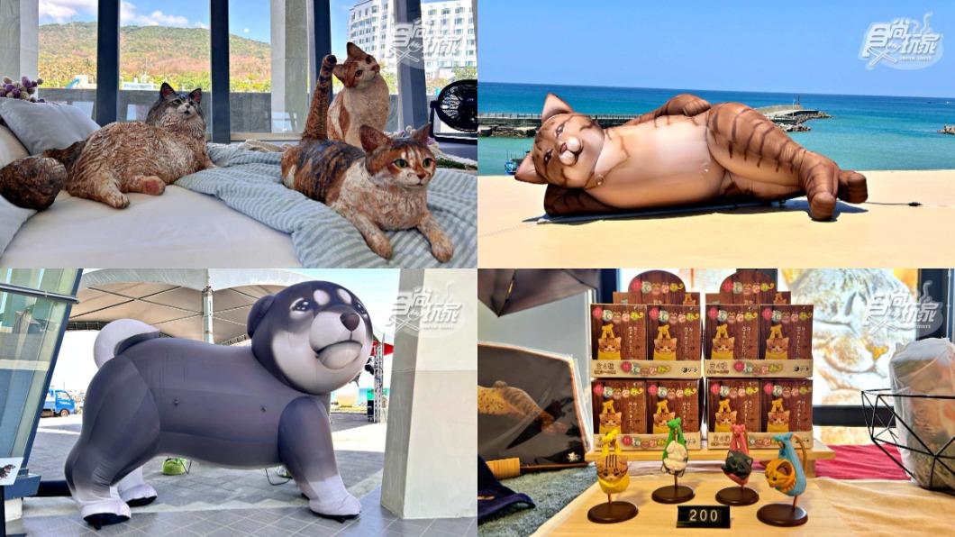 日本最萌貓狗展「極度日常ULTRA DAILY」將在看海美術館登場。（圖／陳怡璇 攝）