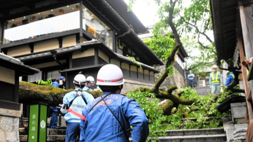 日本京都清水寺周邊觀光景點之一的「產寧坂」（又稱三年坂），發生櫻花樹傾倒壓傷路人的意外。（圖／翻攝自livedoornews on X）