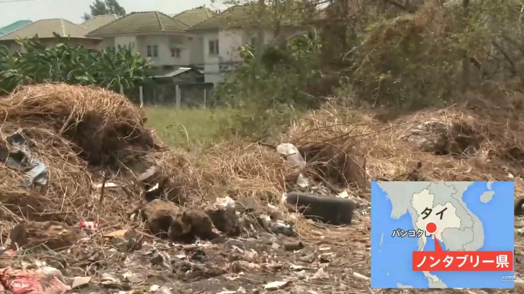 曼谷近郊的暖武里府一處空地近日發現人類遺體的屍塊，經確認該遺體屬於一名日本男性。（圖／翻攝自TBS NEWS DIG）