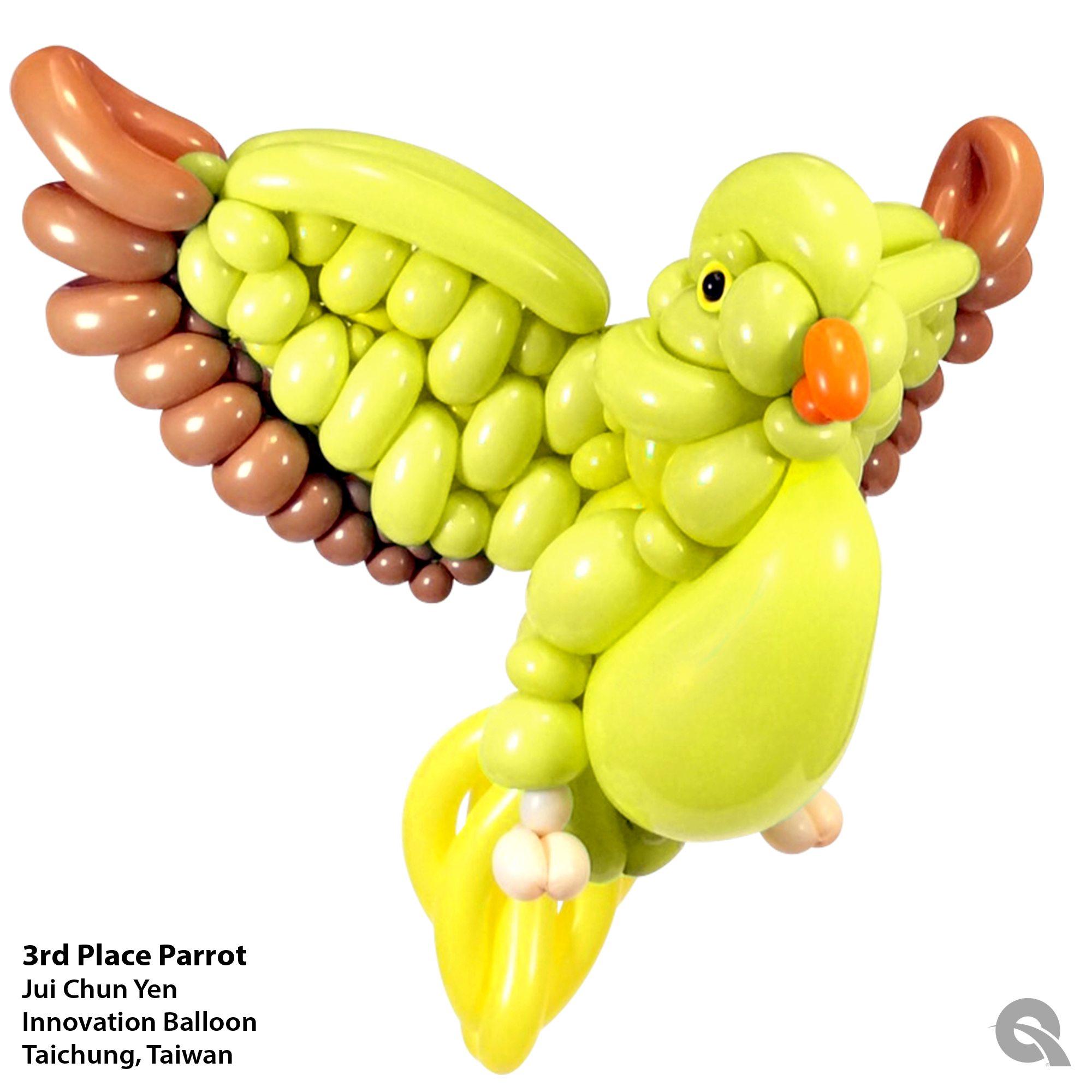 顏睿軍在「黃綠」組，以《鸚鵡》拿下第3名。（圖／翻攝facebook QualatexMrQ）