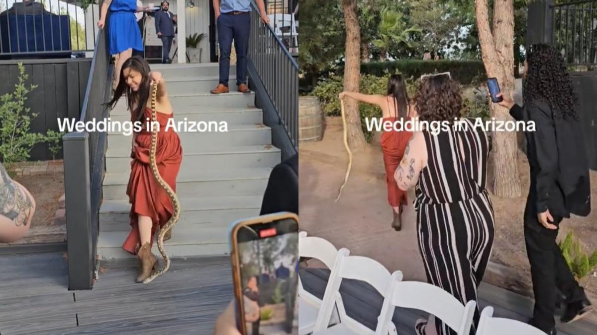 美國一處婚禮現場驚見巨蟒、後被女賓客直接送出場。（圖／翻攝自@sandraleos22　TikTok）